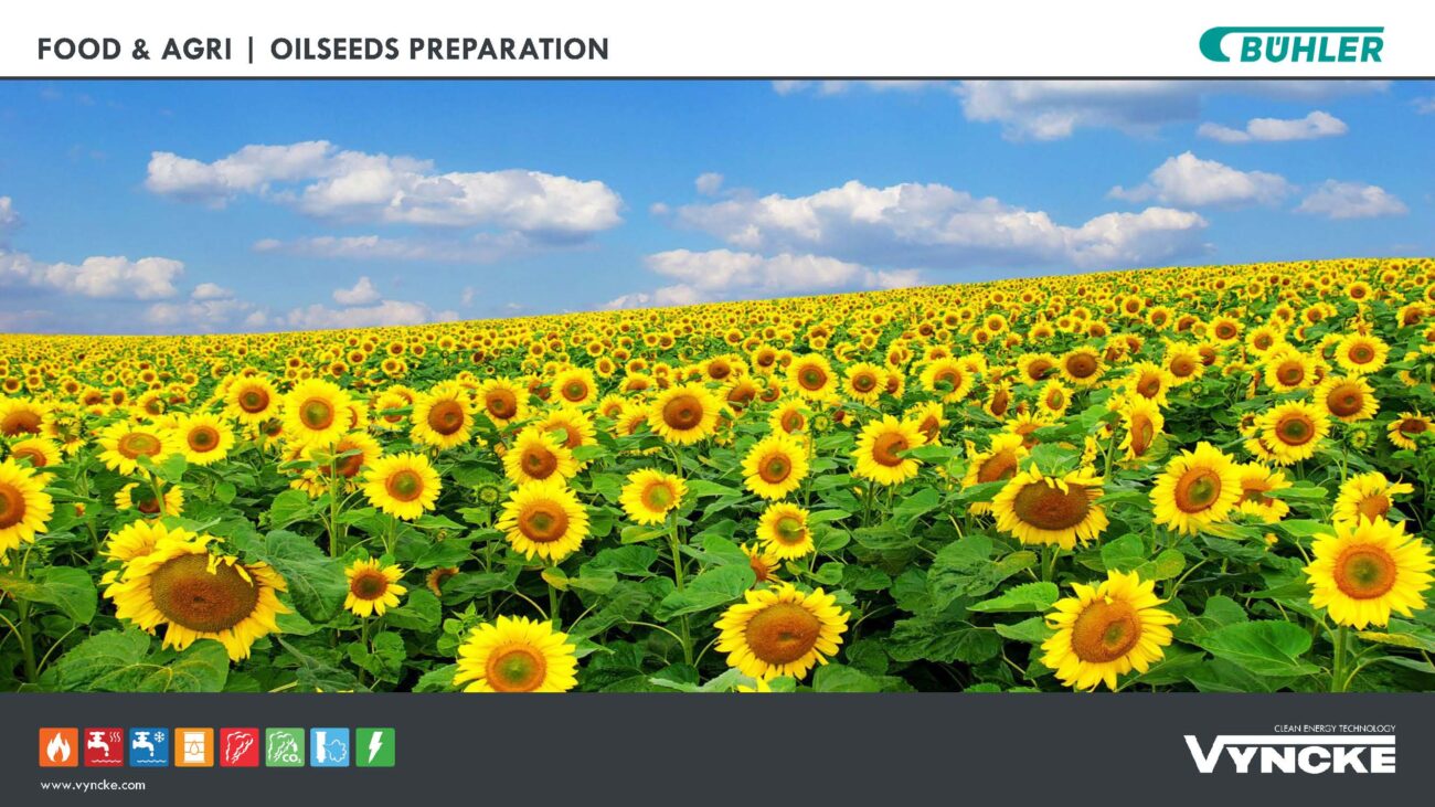sunflower-hulls-to-energy-oil-extraction